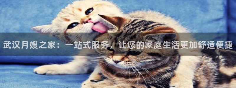 杏悦平台登录地址在哪里