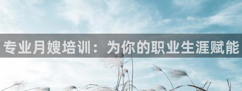 杏悦平台代理怎么做的